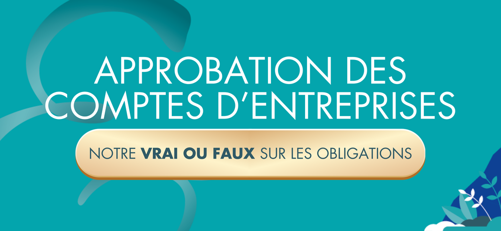Groupe-LVDS-experts-comptables-approbation-comptes-entreprises