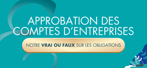 Groupe-LVDS-experts-comptables-approbation-comptes-entreprises